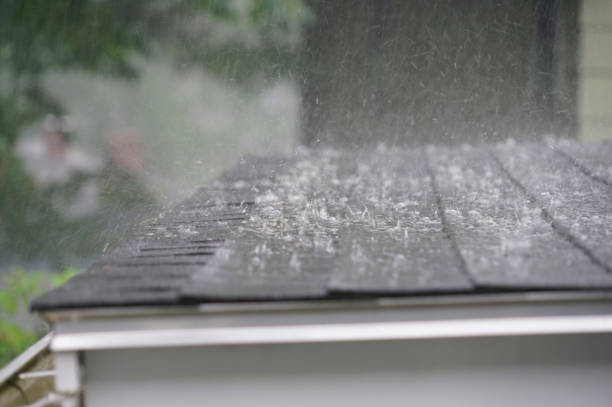Best Roof Insulation Installation  in Amberley, OH